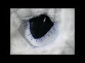 Faith: The PredaFury Trailer Stop Motion 🐲