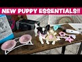 Puppy Essentials - MUST HAVES for your new Puppy! | Sweetie Pie Pets by Kelly Swift