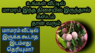 வீட்டில் மாமரம் வளர்க்க வேண்டிய இடங்கள் 2023/09/05 @Thejus-Viji #religion #vastu #mango #fact