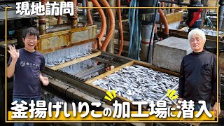 【訪問】釜揚げいりこは〇〇で炊くからおいしい✨加工の裏側を大調査！ 伊吹島プロジェクトさん②