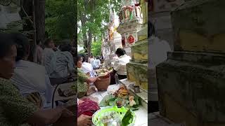 หาพาข้าวให้บรรพบุรุษ(บุญสารทเดือนสิบ)