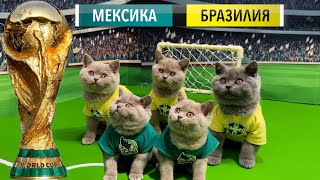 33 КОТЁНКА - ПЕРВЫЙ В МИРЕ ЧЕМПИОНАТ МИРА ПО ФУТБОЛУ СРЕДИ КОТЯТ! КУБОК МИРА И КОТЫ!