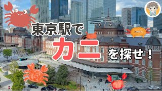 【東京駅】今更ながら”カニ化石”探し！早朝5時から駅内散策してきた👣