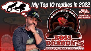 Boss Dragons best Top 10 Reptiles in 2022