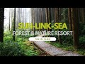 Sun-Link-Sea Forest and Nature Resort 愛上杉林溪  Nantou, Taiwan