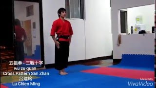 Wuzuquan - Cross Pattern San Zhan(五祖拳-三戰十字),Lu Chien Ming(呂建銘)