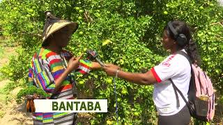 BANTABA 15.12.24