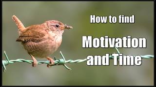 How to find Motivation and Time for Birdphotography.