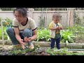 minguo and xiaohanghang went for a stroll in the vegetable garden. the melons fruits