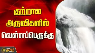 🔴LIVE : குற்றால அருவிகளில் வெள்ளப்பெருக்கு.| Kutralam  | Tenkasi | flood | kutralamflood | NewsTamil