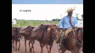 Canto Da Terra - Peao Folgado