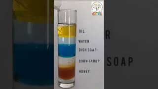 The Density of Different Liquids a fun science experiment that deals with densit