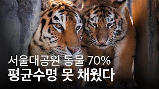 서울대공원 동물 70%가 평균수명을 못 채우고 폐사했다