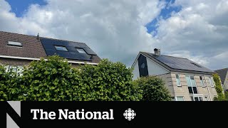 What the Netherlands can teach Canada about solar power