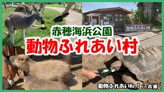 【赤穂海浜公園動物ふれあい村】動物ふれあいNo.1in兵庫～エサあげてみた～