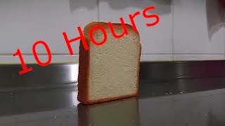 Bread Falling Over and Getting Up 10 Hours