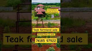 Teak farmland sale in coimbatore -7418597922 #coimbatore #farmland #teakwood #farmhouse #trending