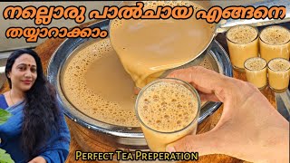 നല്ലൊരു പാൽചായ എങ്ങനെ തയ്യാറാക്കാം |How to make Milk tea | Tea Recipe In Malayalam