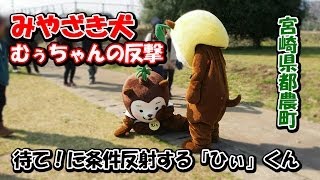 【みやざき犬】むぅちゃんの反撃。条件反射してしまう「ひぃ」くん。