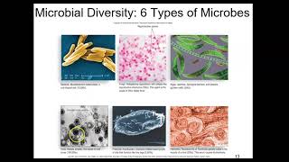 BIO 235 Chapter 1 Talaro