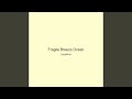 Fragile Breeze Ocean