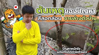 สีลอกล่อน ผนังชายล่าง | เทคนิคในการแก้ไขปัญหาสีล่อน