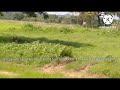 4.20acres bt road bit 1acre for 25 lacks 1borwell sunil 9505455955