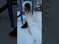 charlie the sheltie finds a frozen slide