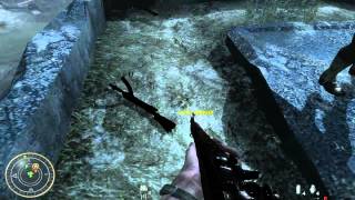 Call Of Duty World At War Blowtorch og Corkscrew