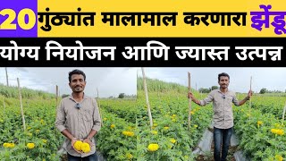 20 गुंठ्यांत मालामाल करणारा झेंडू 🌼💰 | Marigold Flower Farming | योग्य नियोजन आणि ज्यास्त उत्पन्न