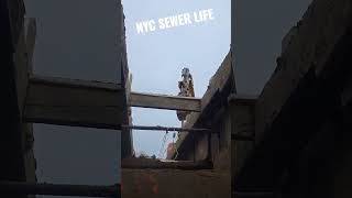 NYC Sewer Life #newyork #work #Carpenter #construction #life #trending #viral #news #noticias