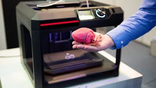 TOP 5 Best 3D Printers for Beginners 2024