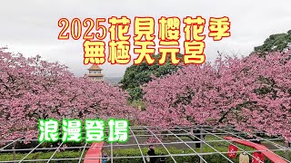 2025大年初五無極天元宮賞櫻趣｜花見櫻花季｜三色櫻｜無極真元天壇｜