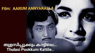 തുളസിപ്പൂക്കും കാട്ടിലെ... Thulasi Pookkum Kattile...Aarum Annyaralla   Malayalam Movie Song