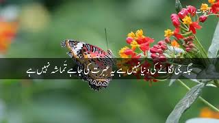 Jagha Ji Lagane ki Duniya Nhi Hai - Ghulam Mustafa Qadri _ Urdu Lyrics _ Rajput Writes 2023