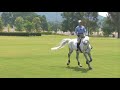 bernie traurig teaches advanced flatwork