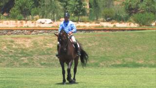 Bernie Traurig Teaches Advanced Flatwork