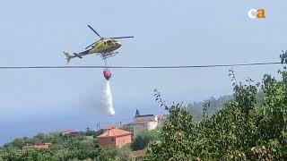 Conato de incendio en la zona de La Esperanza, en Tenerife