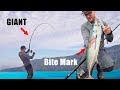 IT ATTACKED 😱 MY BONITO - FISHING MYSTERY‼️