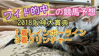 2018阪神大賞典　ワイド的中　キセキの猫仁の競馬予想