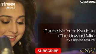 Pucho Na Yaar Kya Hua (The Unwind Mix) | Audio Song | Prajakta Shukre