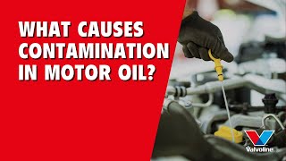What CAUSES motor oil CONTAMINATION | How to PROTECT Your ENGINE | ASK ALISTAIR