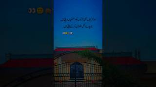 so sorry girls🙏😁|| poerty video 🐰|| funny video Urdu poetry video 😁||#poetrycorner