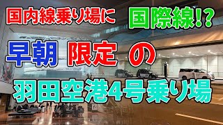 【タクシー乗り場定点観察】早朝羽田空港4号乗り場