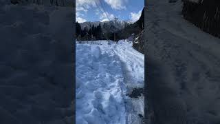 閉鎖された国見岳スキー場から林道を滑る