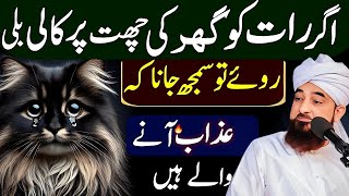 Agar Chhat Par Kali Cat Roye To 3 Azaab Aate Hain | Raza Saqib Mustafai