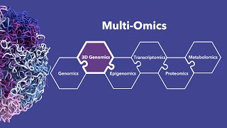 Single Molecule Sequencing: Multi-Omics Integration