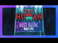 BEST Optimization Guide | Once Human | Max FPS | Best Settings