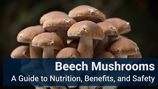 Beech Mushrooms: A Guide to Nutrition, Benefits, and Safety