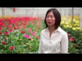 meet janet louie california flower farmer of roses gerbera daisies and lilies